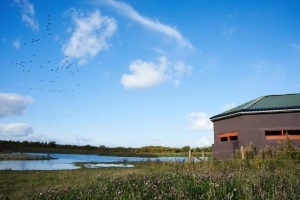 Durham Wildlife Trust