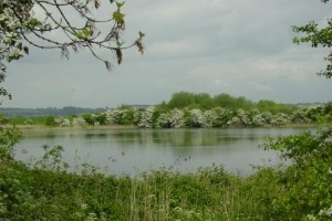 Lincolnshire Wildlife Trust